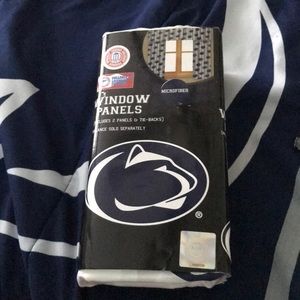 Penn State window panels